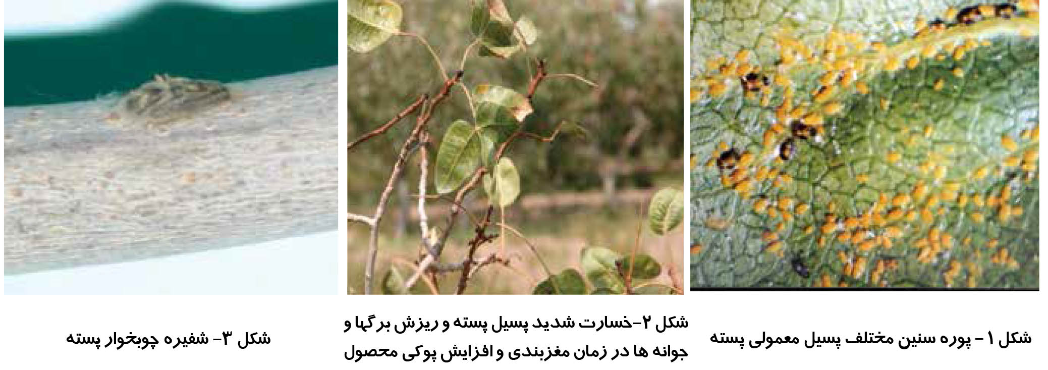 tir final final 92-1