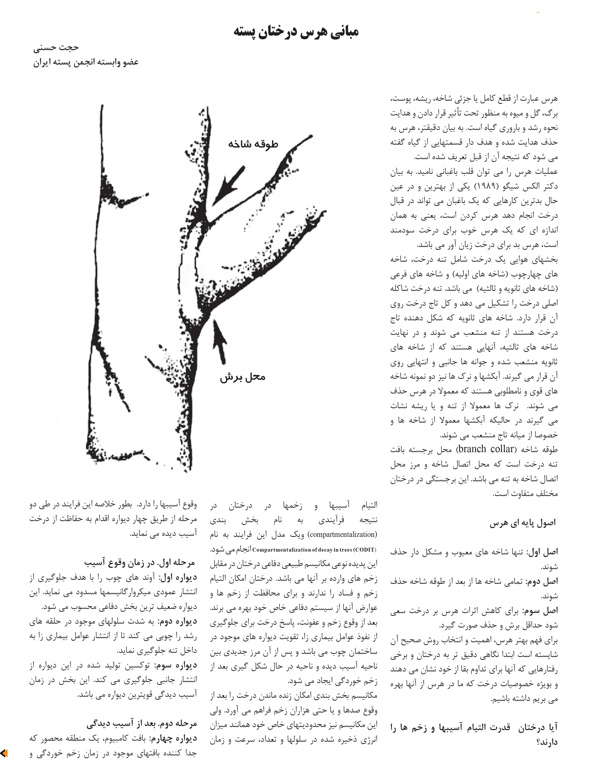 finalazar 92-80safe-42