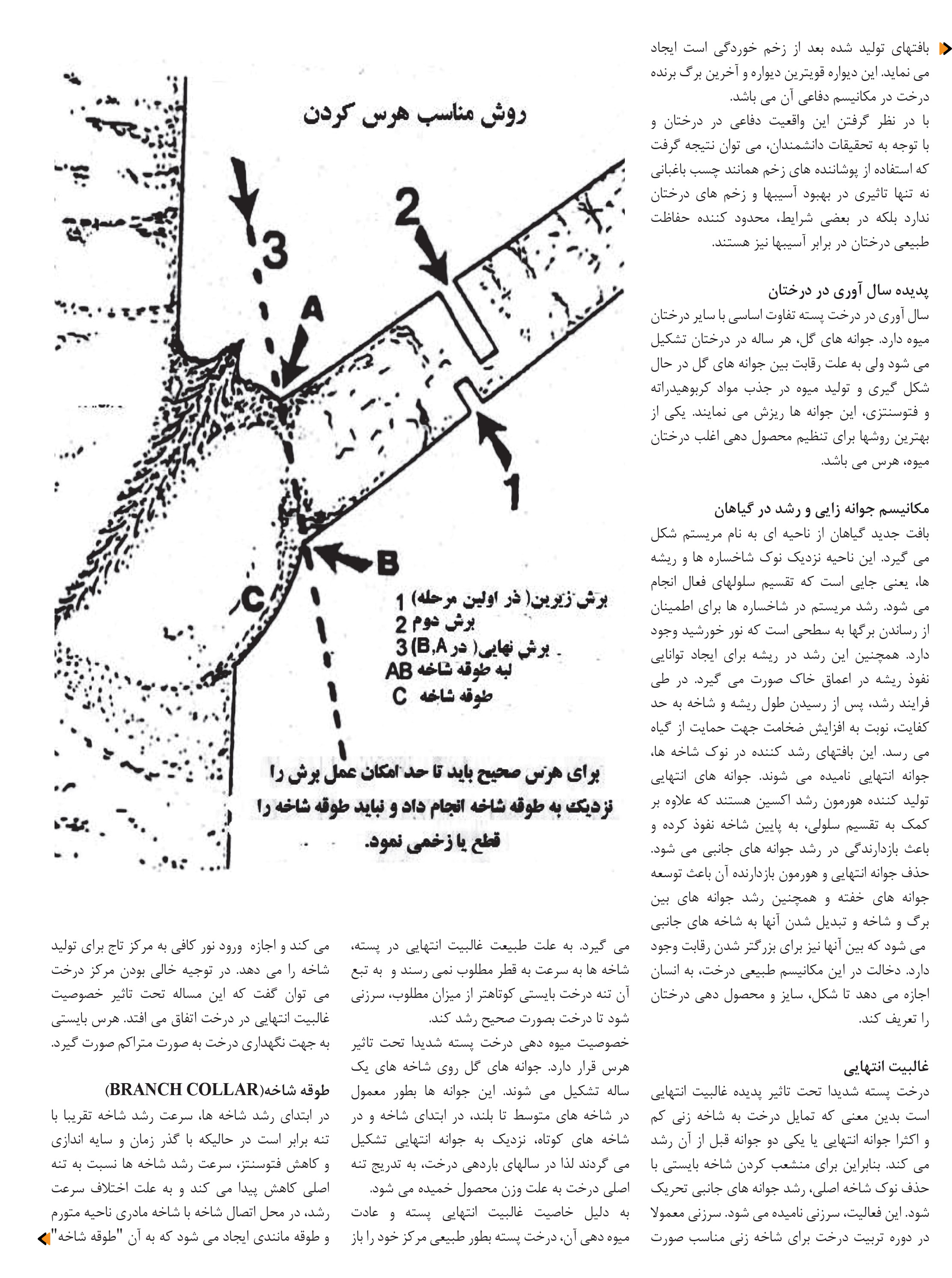finalazar 92-80safe-43