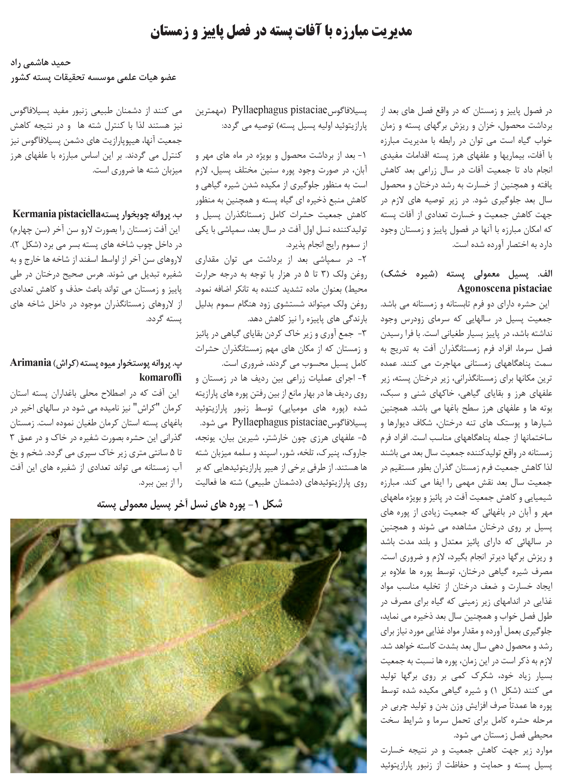 finalazar 92-80safe-644