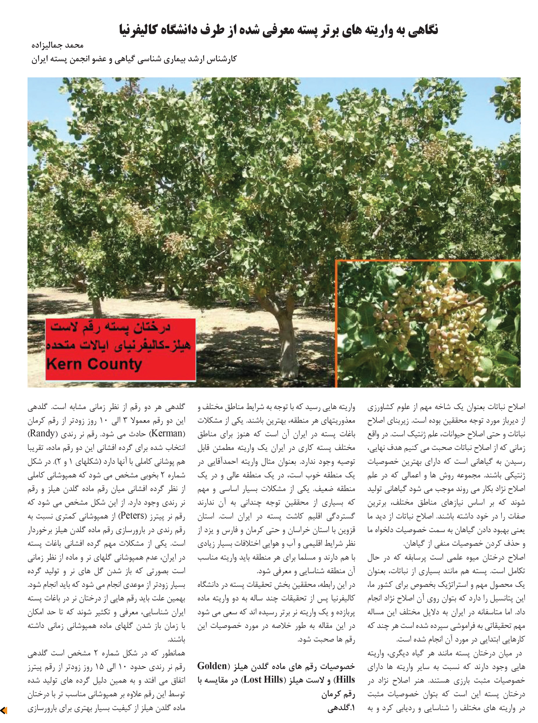 finalazar 92-80safe-66