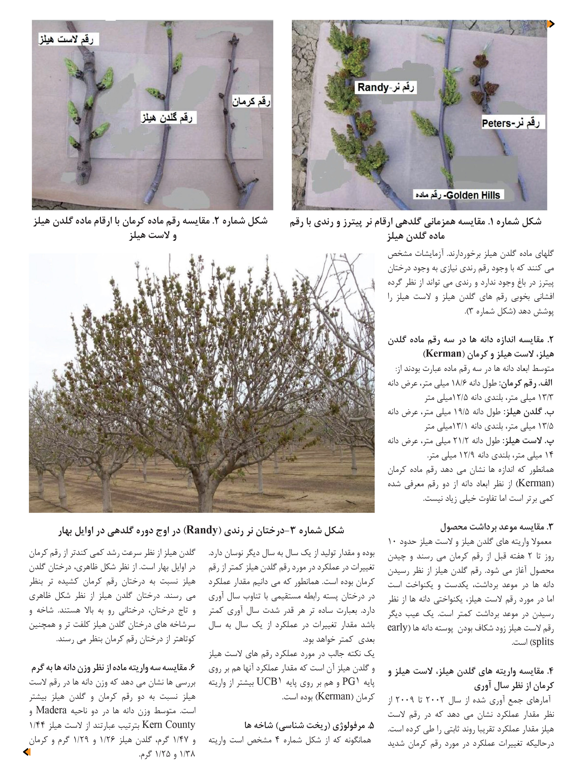 finalazar 92-80safe-67