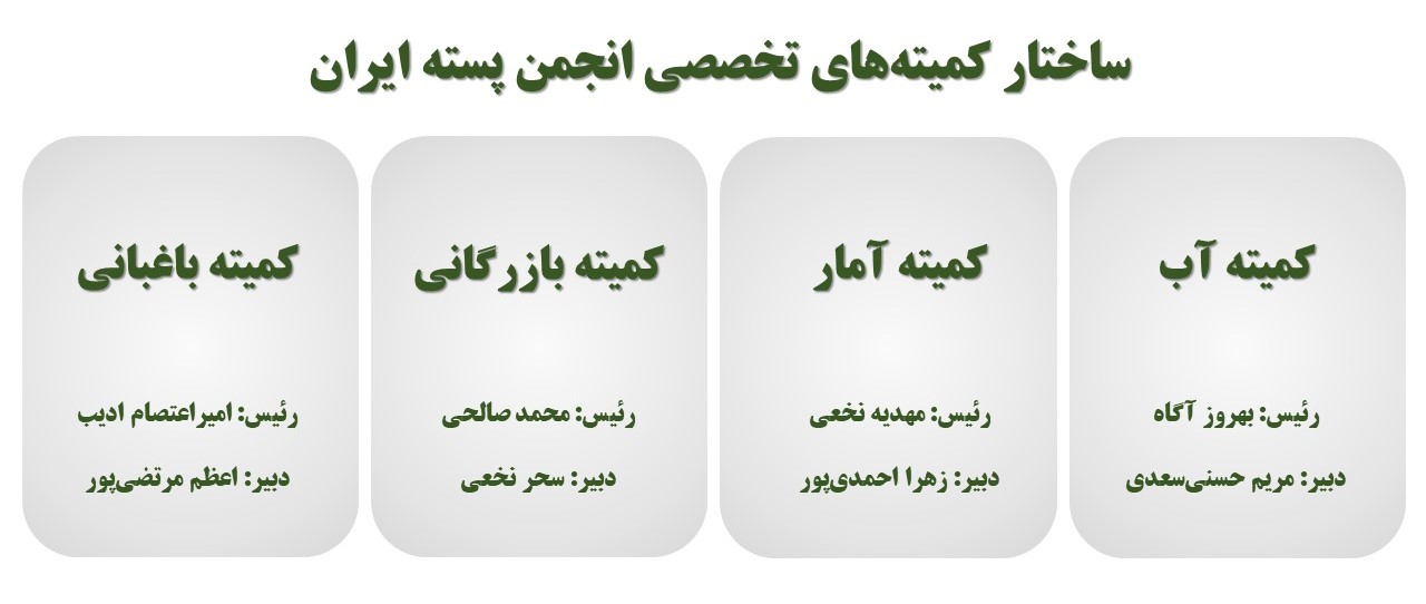 کمیته ها