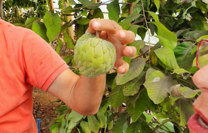 WhatsApp Image 2019-12-06 at 7.58.02 PM